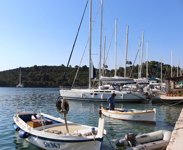 Mljet