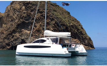 C-Cat 37 PRESTIGE